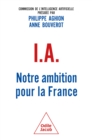 IA : notre ambition pour la France - eBook