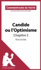 Candide ou l'Optimisme de Voltaire - Chapitre 3 : Commentaire et Analyse de texte - eBook