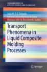 Transport Phenomena in Liquid Composite Molding Processes - eBook