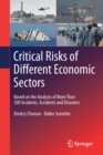 Critical  Risks of Different Economic Sectors : Based on the Analysis of More Than 500 Incidents, Accidents and Disasters - Book