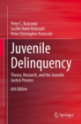 Juvenile Delinquency : Theory, Research, and the Juvenile Justice Process - eBook