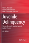 Juvenile Delinquency : Theory, Research, and the Juvenile Justice Process - Book