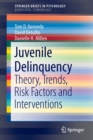Juvenile Delinquency : Theory, Trends, Risk Factors and Interventions - Book