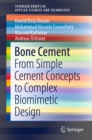 Bone Cement : From Simple Cement Concepts to Complex Biomimetic Design - eBook