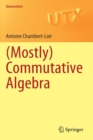 (Mostly) Commutative Algebra - Book