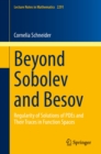 Beyond Sobolev and Besov : Regularity of Solutions of PDEs and Their Traces in Function Spaces - eBook