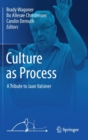 Culture as Process : A Tribute to Jaan Valsiner - Book