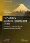 The Solfatara Magmatic-Hydrothermal System : Geochemistry, Geothermometry and Geobarometry of Fumarolic Fluids - eBook