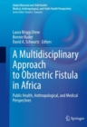 A Multidisciplinary Approach to Obstetric Fistula in Africa : Public Health, Anthropological, and Medical Perspectives - Book