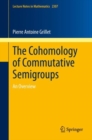 The Cohomology of Commutative Semigroups : An Overview - Book