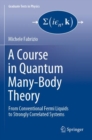 A Course in Quantum Many-Body Theory : From Conventional Fermi Liquids to Strongly Correlated Systems - Book