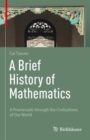 A Brief History of Mathematics : A Promenade through the Civilizations of Our World - Book