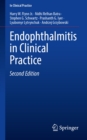 Endophthalmitis in Clinical Practice - eBook