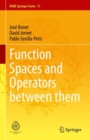 Function Spaces and Operators between them - Book