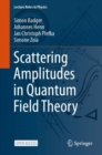Scattering Amplitudes in Quantum Field Theory - Book