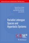 Variable Lebesgue Spaces and Hyperbolic Systems - eBook