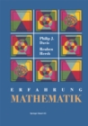 Erfahrung Mathematik - eBook