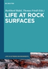 Life at Rock Surfaces : Challenged by Extreme Light, Temperature and Hydration Fluctuations - eBook