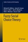 Fuzzy Social Choice Theory - eBook