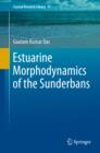 Estuarine Morphodynamics of the Sunderbans - eBook
