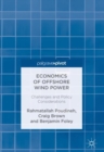 Economics of Offshore Wind Power : Challenges and Policy Considerations - eBook
