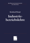 Industriebetriebslehre : Einfuhrung Management im Lebenszyklus industrieller Geschaftsfelder - eBook