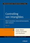 Controlling von Intangibles : Nicht-monet re Unternehmenswerte aktiv steuern - eBook