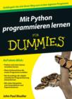 Python Programmieren Lernen Fur Dummies - Book