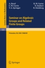 Seminar on Algebraic Groups and Related Finite Groups : Held at the Institute for Advanced Study, Princeton/NJ, 1968/69 - eBook