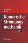 Numerische Stromungsmechanik - eBook