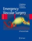 Emergency Vascular Surgery : A Practical Guide - eBook