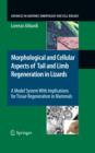 Morphological and Cellular Aspects of Tail and Limb Regeneration in Lizards : A Model System With Implications for Tissue Regeneration in Mammals - eBook