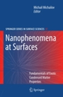 Nanophenomena at Surfaces : Fundamentals of Exotic Condensed Matter Properties - eBook