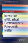 Interaction of Ultrashort Electromagnetic Pulses with Matter - eBook