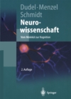 Neurowissenschaft : Vom Molekul zur Kognition - eBook