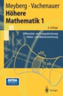 Hohere Mathematik 1 : Differential- und Integralrechnung Vektor- und Matrizenrechnung - eBook