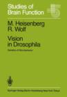Vision in Drosophila - Book