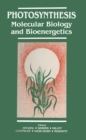 Photosynthesis : Molecular Biology and Bioenergetics - eBook