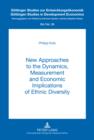New Approaches to the Dynamics, Measurement and Economic Implications of Ethnic Diversity - eBook