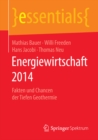 Energiewirtschaft 2014 : Fakten und Chancen der Tiefen Geothermie - eBook