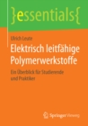 Elektrisch leitfahige Polymerwerkstoffe : Ein Uberblick fur Studierende und Praktiker - eBook