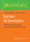 Big Data fur Entscheider : Entwicklung und Umsetzung datengetriebener Geschaftsmodelle - eBook