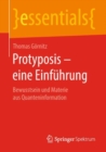 Protyposis - eine Einfuhrung : Bewusstsein und Materie aus Quanteninformation - eBook