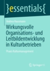 Wirkungsvolle Organisations- und Leitbildentwicklung in Kulturbetrieben : Praxis Kulturmanagement - eBook