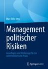 Management politischer Risiken : Grundlagen und Werkzeuge fur die unternehmerische Praxis - eBook