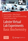 Labster Virtual Lab Experiments: Basic Biochemistry - Book