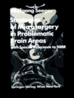 Strategies of Microsurgery in Problematic Brain Areas : with Special Reference to NMR - eBook