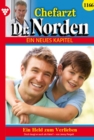Ein Held zum Verlieben : Chefarzt Dr. Norden 1166 - Arztroman - eBook