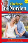 Ein Hauschen am See : Chefarzt Dr. Norden 1172 - Arztroman - eBook
