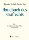 Handbuch des Strafrechts : Band 8: Das strafprozessuale Regelverfahren in erster Instanz - eBook